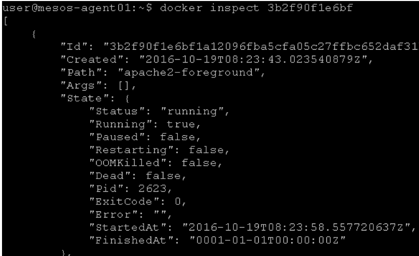 ../_images/lab1-docker-inspect.png