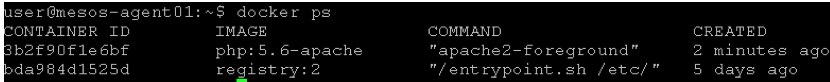../_images/lab1-docker-ps.png