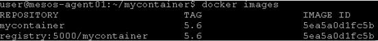 ../_images/lab3-dockertag-docker-images-cmd.png