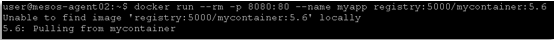 ../_images/lab3-dockertag-docker-run-success.png