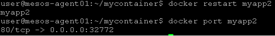 ../_images/lab4-ephemeralport-restart-myapp2.png