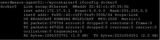 ../_images/lab4-linuxbridgenetwork-ifconfig-docker0.png