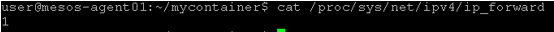 ../_images/lab4-linuxbridgenetwork-ip_forward.png
